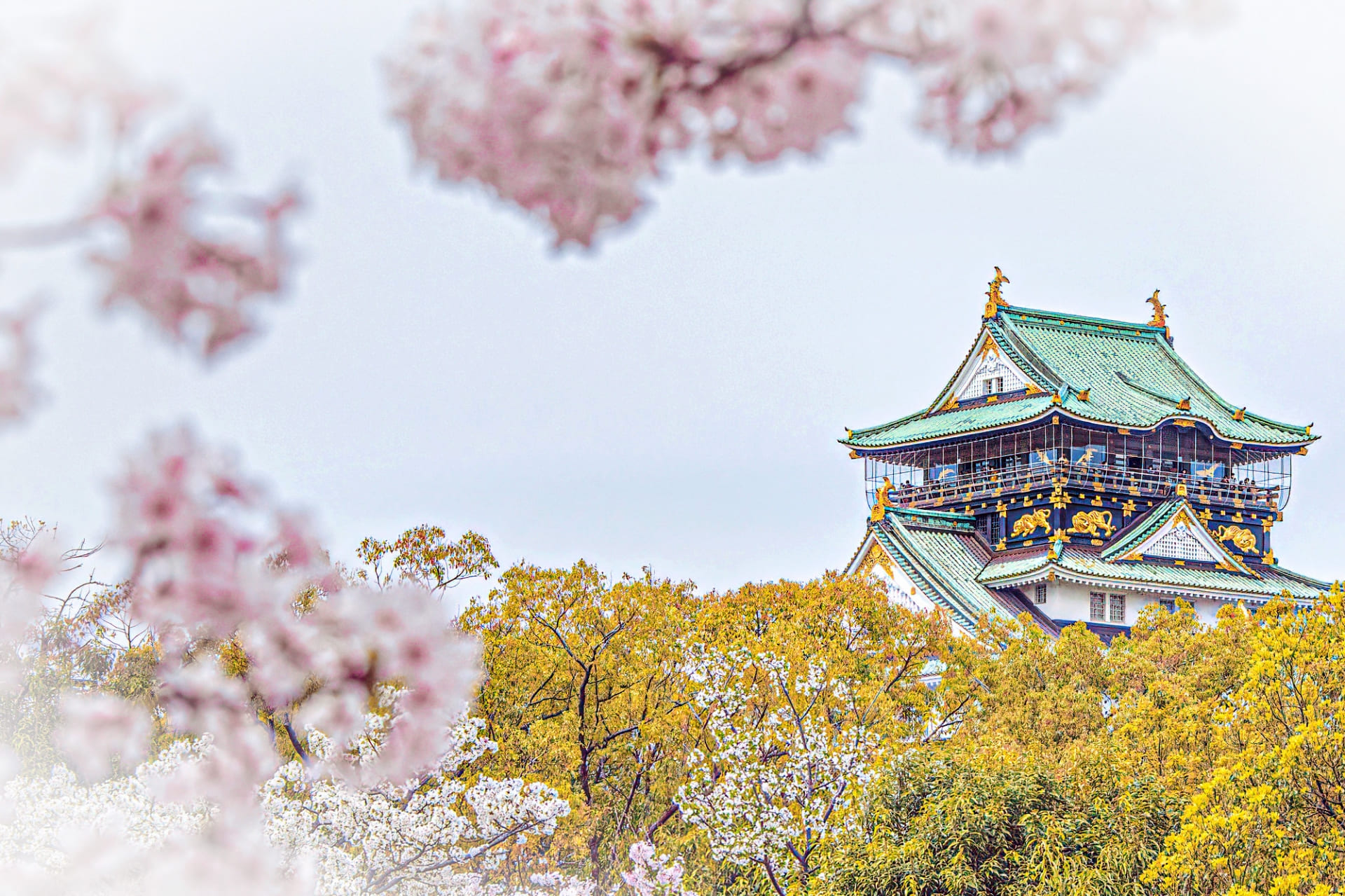 大阪市内で顔合わせランチにおすすめの個室付きのお店まとめ