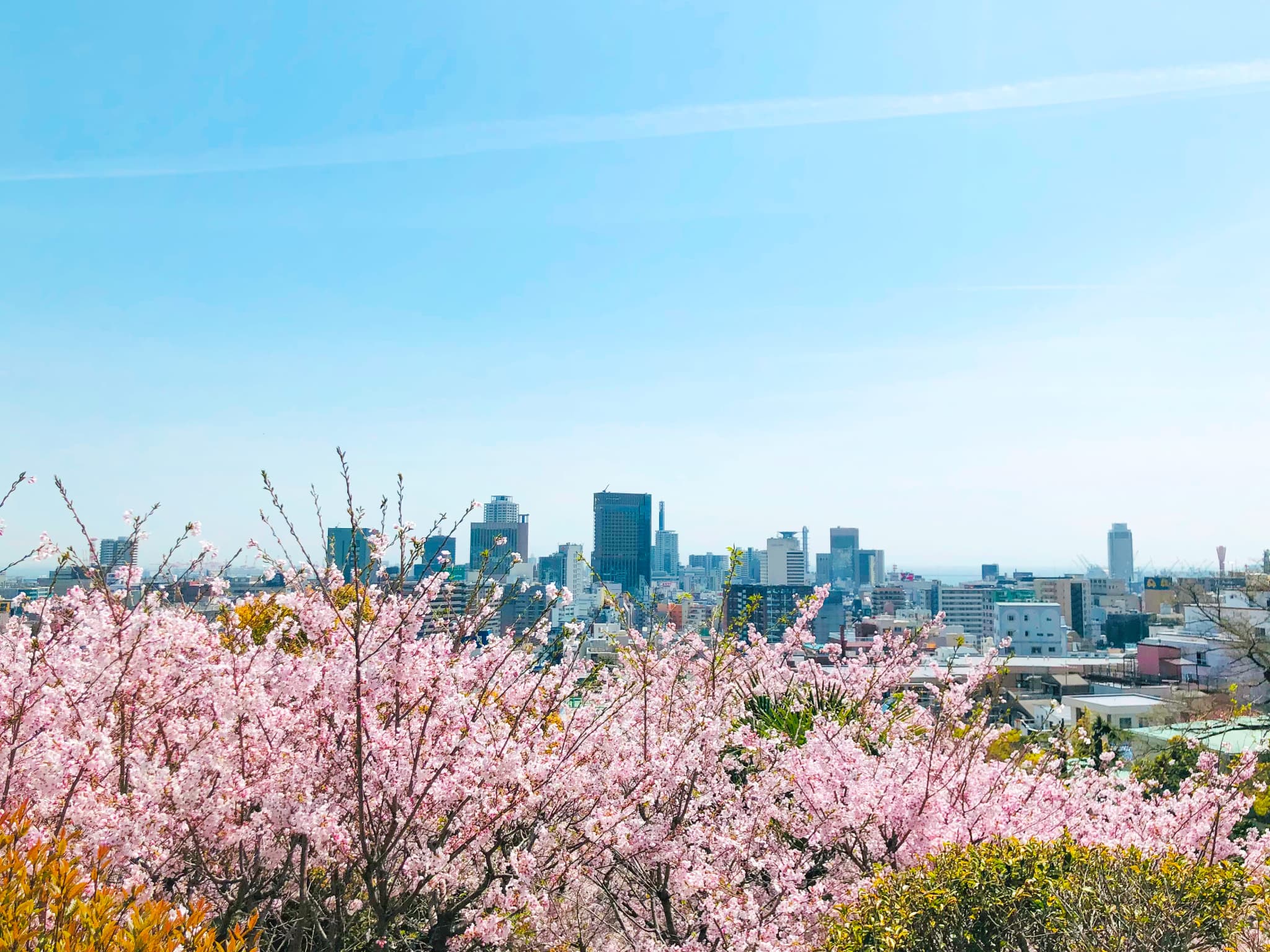 【2022年版】兵庫県神戸市で顔合わせランチにおすすめの和食・ホテルレストランまとめ